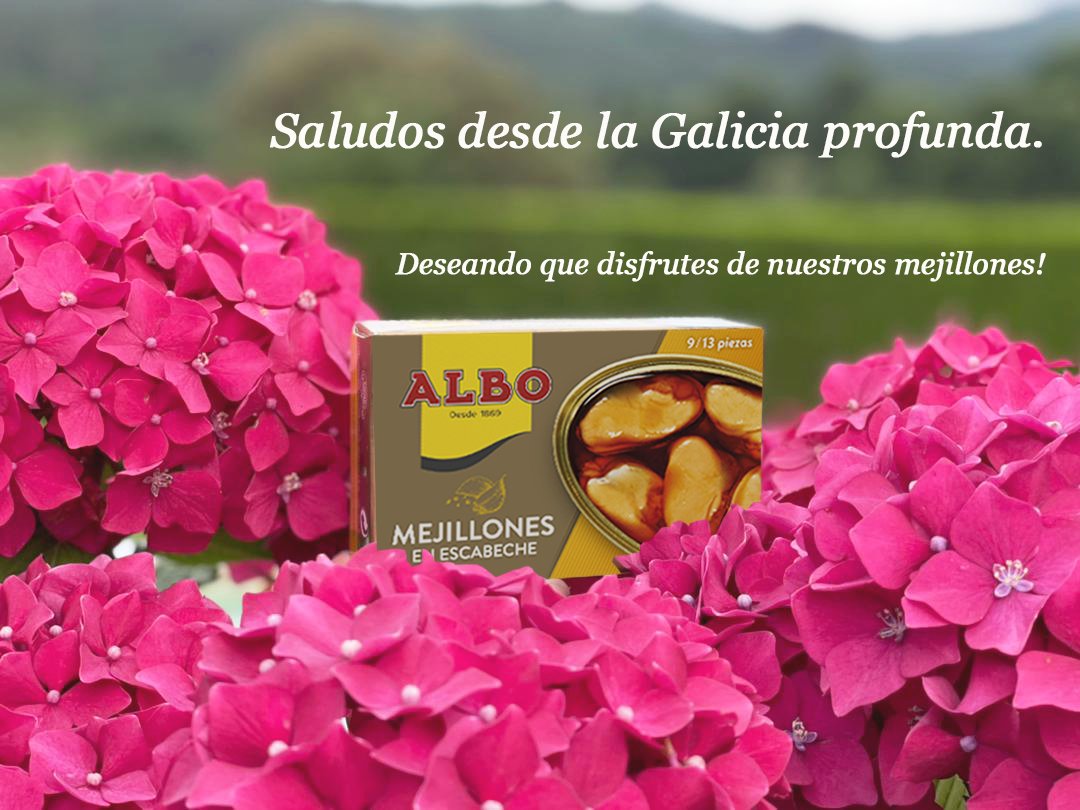 Aquí en #Vigo el módem va lento y llegamos un poco tarde... pero...

#GaliciaProfunda #ConservasAlbo #gallegos