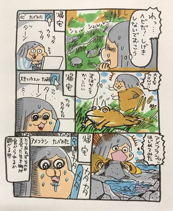 【ポップ担当日記】
お散歩中に出会った様々な生き物に対して、食べられるかどうかを知りたくなってしまうポプ担です。今はユーチューブでも野食系動画などがあってとても面白いです! 