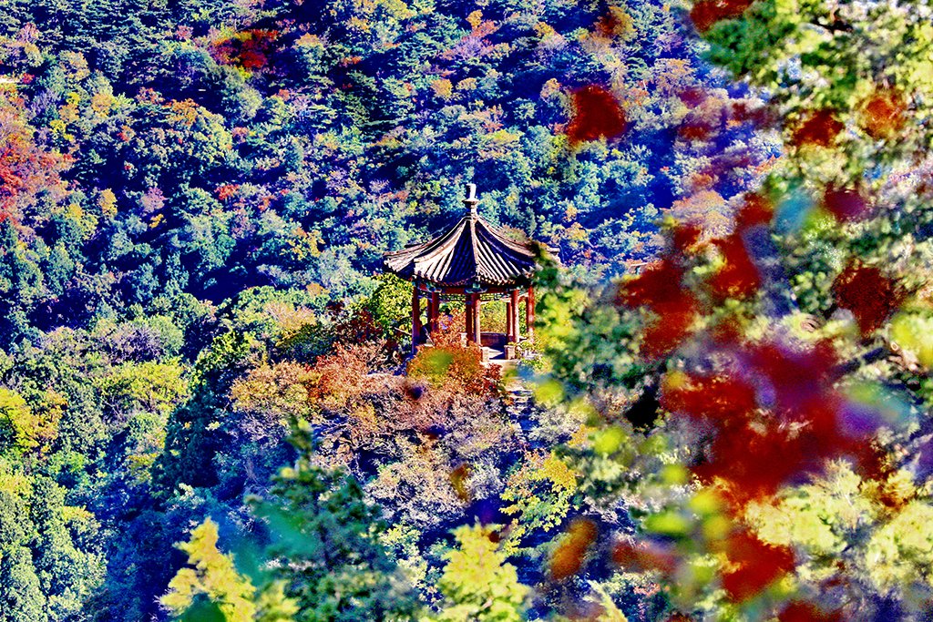 BoundforChina's tweet photo. 📢Calling all mountaineering enthusiasts in #Beijing! It’s time to climb the #FragrantHills to admire a wide range of red leaves and have a fantastic view of colorful forests on the top of the mountain! 🤩🤩 https://t.co/rs5qvdrvxH