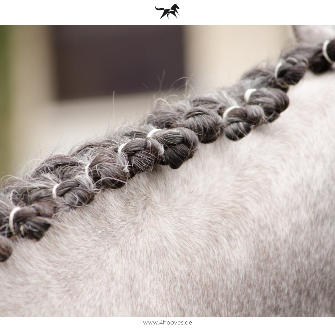 "A pony is a childhood dream. A horse is an adulthood treasure."
-Rebecca Carroll 
________________________________

#ad #friendson4hooves  #equestrian #marketplace #shop4hooves #pferdeliebe #horselove #quote
