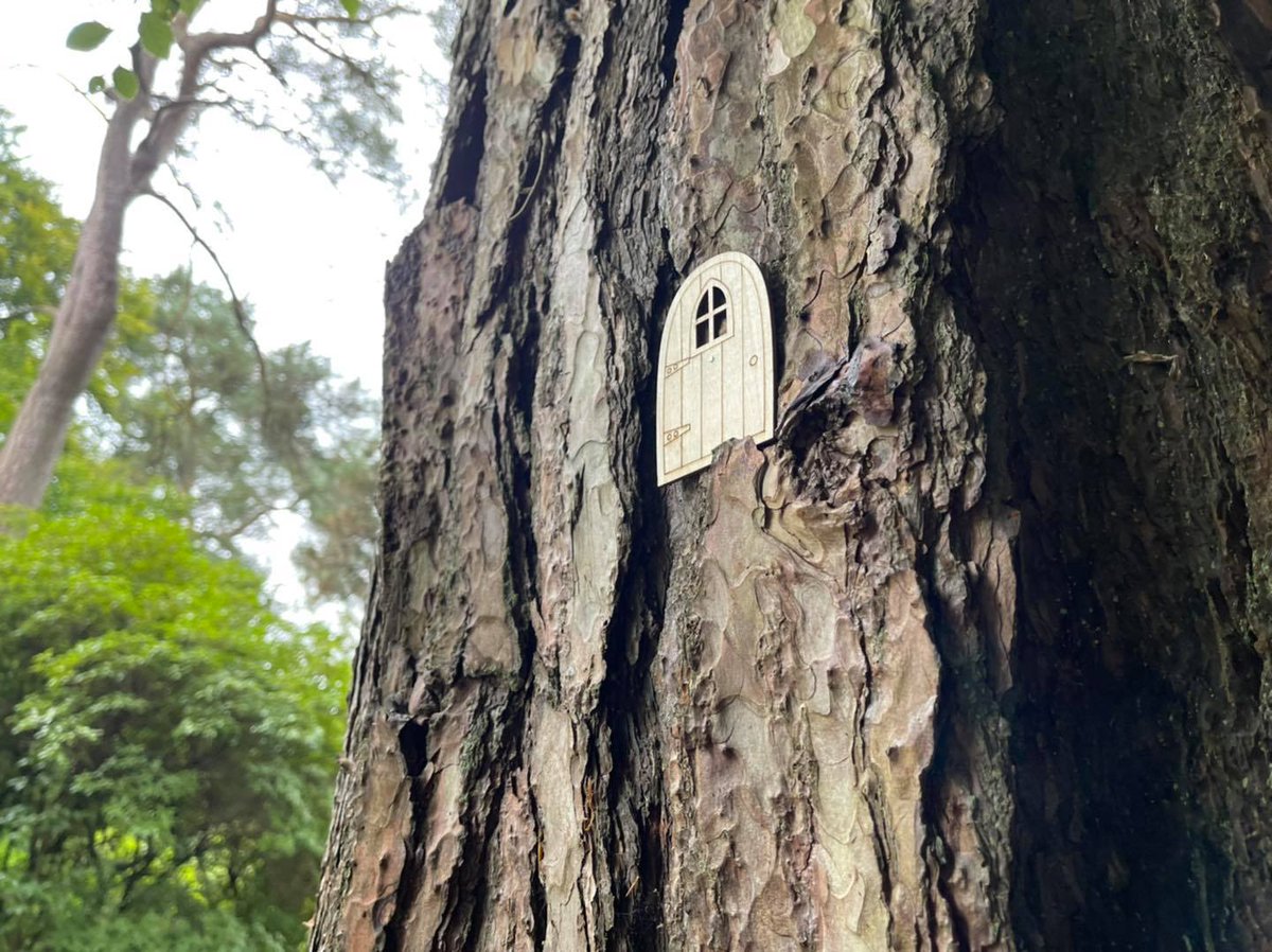 Fairies, banshees and noble trees, Rowallane Garden is rife with folklore and superstition this Halloween. Discover fascinating and familiar tall tales and urban legends on an enchanting stroll through the old wood. #folklorethursday 
nationaltrust.org.uk/lists/half-ter…