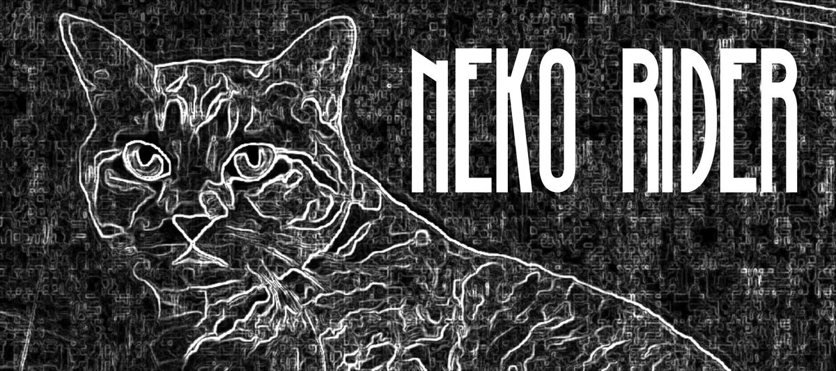 ねこらいだー tweet media