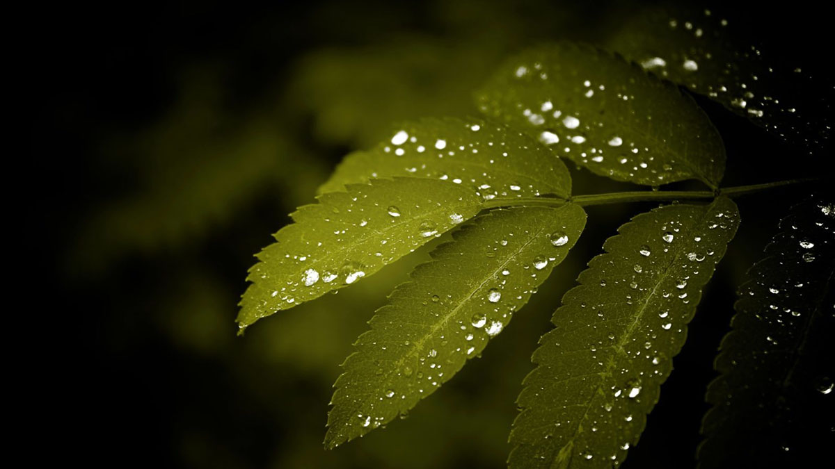 EndOvershoot's tweet photo. 🐛🐝 OCT 28's #100DaysOfPossibility is @hessnatur's NaturePositivity approach that puts one large KPI on any part of its value chain: does it have a positive impact on nature? See how they mitigate the climate and protect biodiversity to #MoveTheDate.
https://t.co/KAEihtTvN7 https://t.co/CfAsuSYAy6