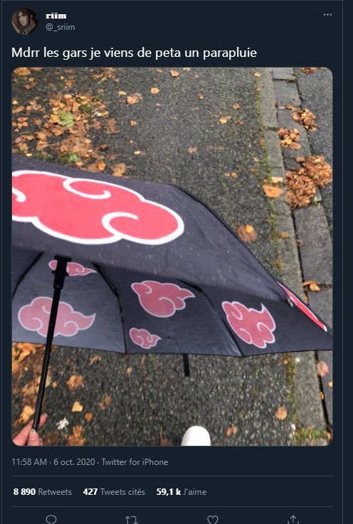 IDIOTS DU VILLAGE tweet media