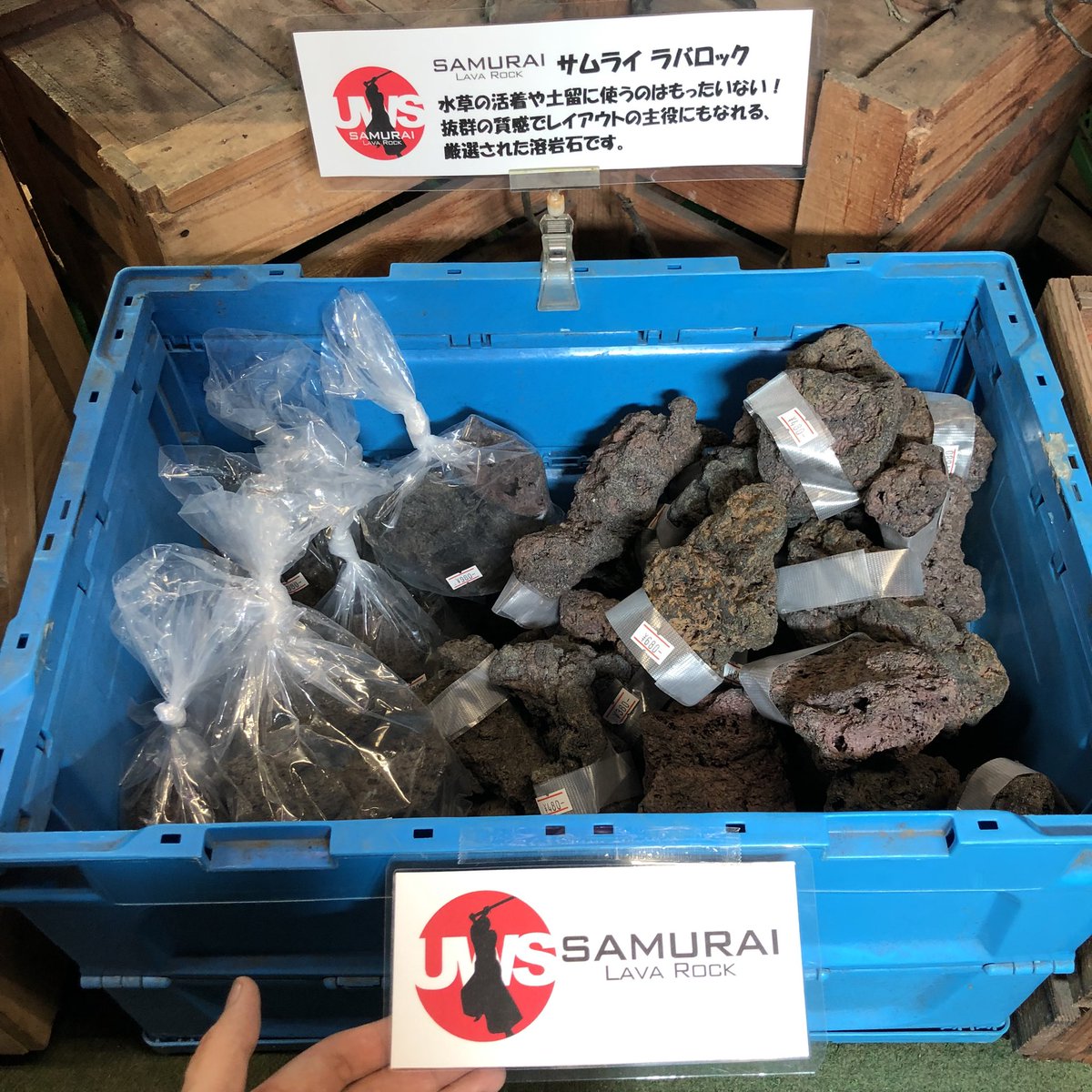 サムライラバロック 大量