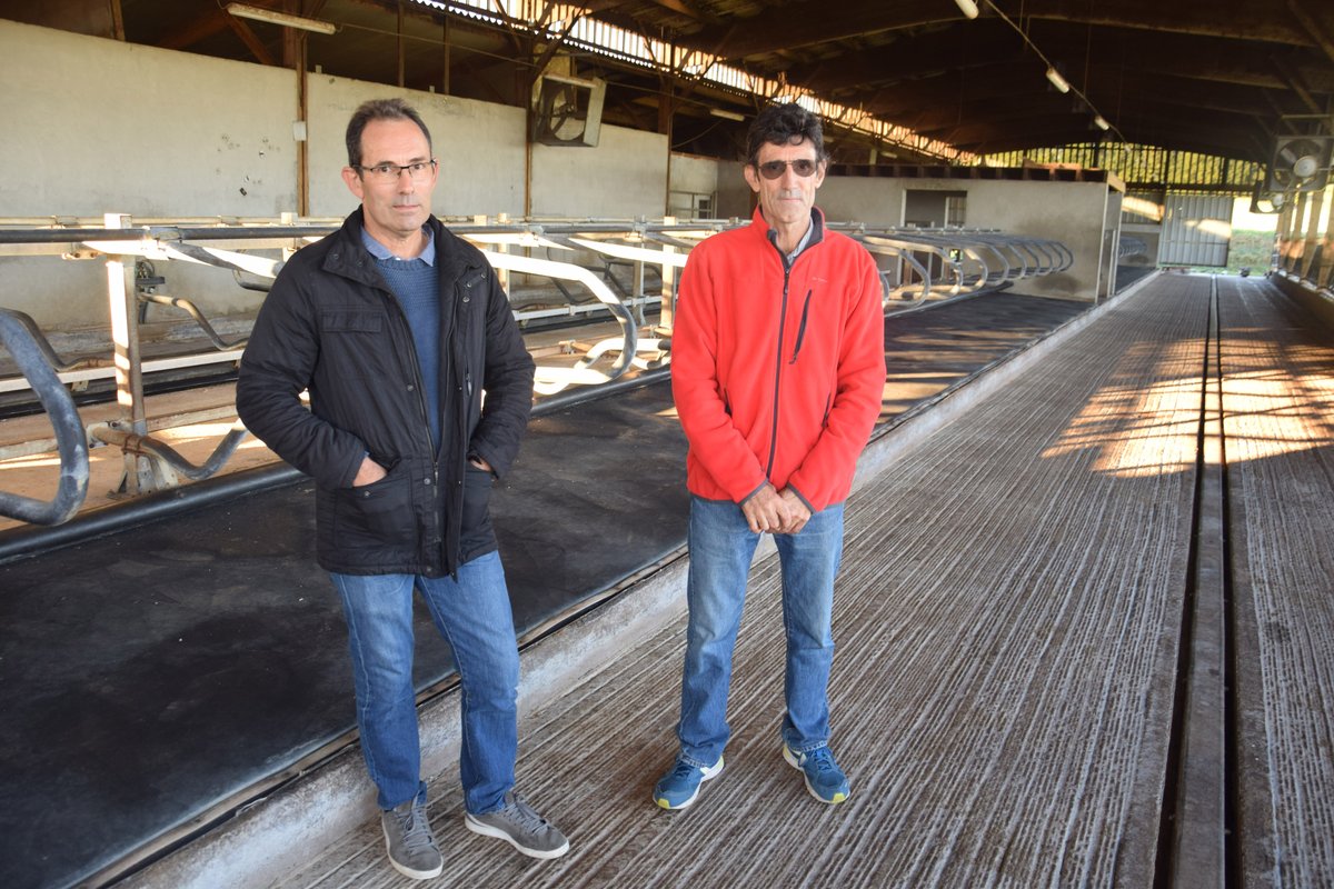 VieCharentaise's tweet photo. Tuberculose : « On a mis 40 ans de génétique à la poubelle... » - Touché par la tuberculose bovine, le GAEC laitier Chez Liotout à Blanzaguet espère revenir à une activité normale notamment  grâce à un accompagnement des pouvoirs publics. https://t.co/Usc0PVtSwo https://t.co/WFp5YyqRvo