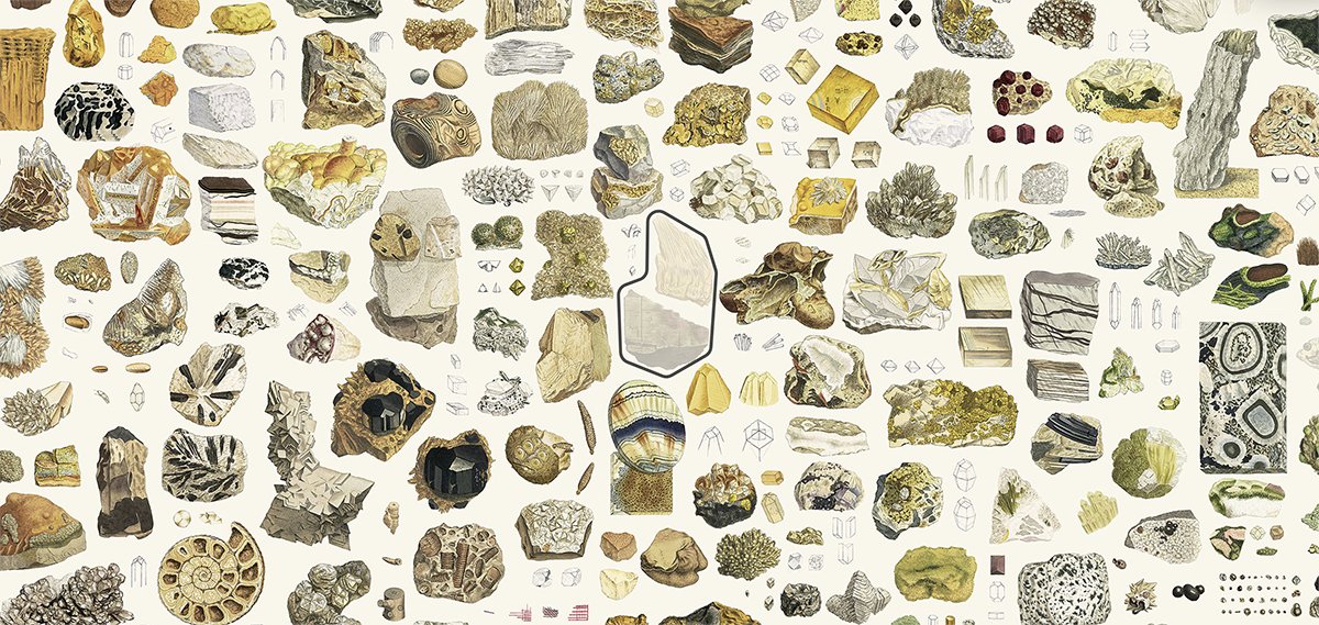 claradealberto's tweet photo. Au début du XIXe siècle, le naturaliste 🇬🇧 James Sowerby a illustré des centaines de minéraux, tous compilés dans « British Mineralogy »

Ils sont tous compilés dans ce visuel interactif à zoomer et à explorer, et le résultat est juste 😍

https://t.co/LBdEhNivVU https://t.co/4ivWAqFgVh