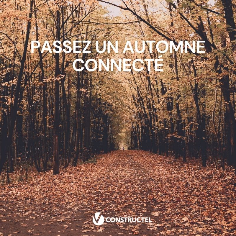 Constructel (@constructelc) on Twitter photo 4 saisons, 1 objectif !
<a href="/ConstructelC/">Constructel</a> contribue au déploiement du réseau pour l’ensemble de la population en France métropolitaine et dans les DOM-TOM ! 
Bel #automne  ! 
#télécoms #reseauxtelecoms #innovation #fibre #connexion #Accessibiliténumérique #grupovisabeira 4 saisons, 1 objectif !
<a href="/ConstructelC/">Constructel</a> contribue au déploiement du réseau pour l’ensemble de la population en France métropolitaine et dans les DOM-TOM ! 
Bel #automne  ! 
#télécoms #reseauxtelecoms #innovation #fibre #connexion #Accessibiliténumérique #grupovisabeira