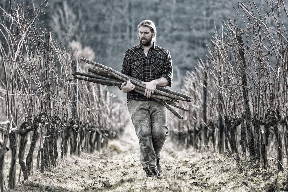 Il lavoro di boscaiolo di Paolo ha ispirato il #rebranding della sua azienda agricola, Il Balzo ➡ bit.ly/BalzoCruS 🍇

Il disegno della #etichetta nasce a partire dal taglio del legno di vite: il lavoro del tagliaboschi ha reso unica la storia del viticoltore.