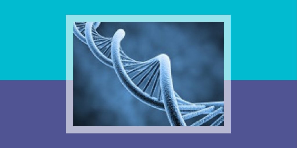 A screening method that incorporates assessment of cell-free DNA (cfDNA) can identify lung cancers with 94% sensitivity and 80% specificity, according to recently published research.

Read the study published in Nature Communications ow.ly/bAvW50GsFCl