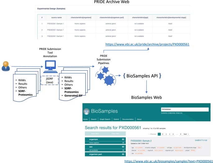 NatureComms's tweet photo. This Perspective from @ypriverol, @EuBIC_ms and colleagues proposes a standard representation for proteomics sample metadata as well as tools and libraries to validate and submit sample metadata-related information to the PRIDE repository.

https://t.co/oCafk9bUAP https://t.co/z8aVPrhLBZ