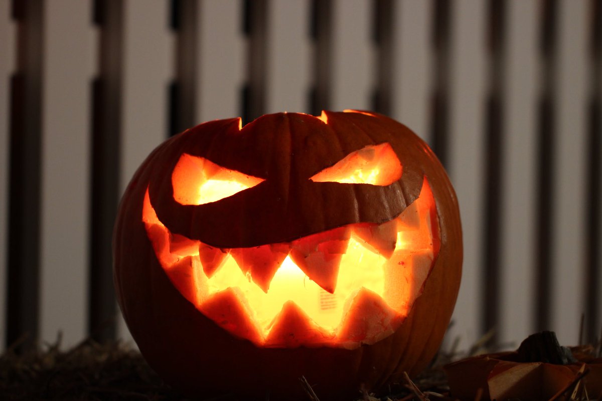 YSecurity's tweet photo. Donโt Let Ransomware Boo You on Halloween!
Find out more at: https://t.co/oyJJseeHg7
#Y #Ransomware #ThreatSimulation #Halloween https://t.co/bJFlitXlhJ