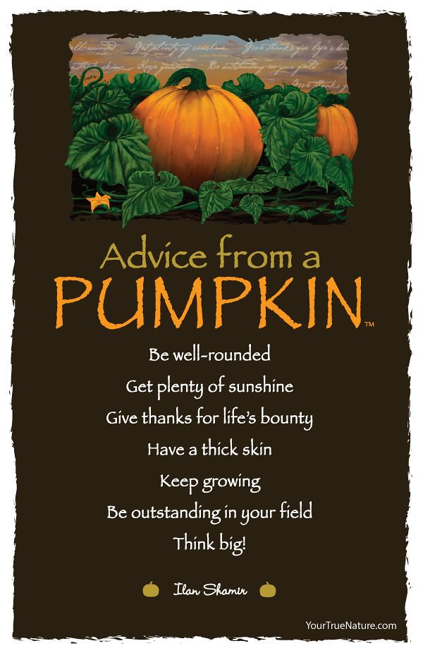 BelvoirSouthsea's tweet photo. Love This! โค๏ธ๐ #beoutstandinginyourfield #thinkbig #bemorepumpkin https://t.co/addVqeeX2A