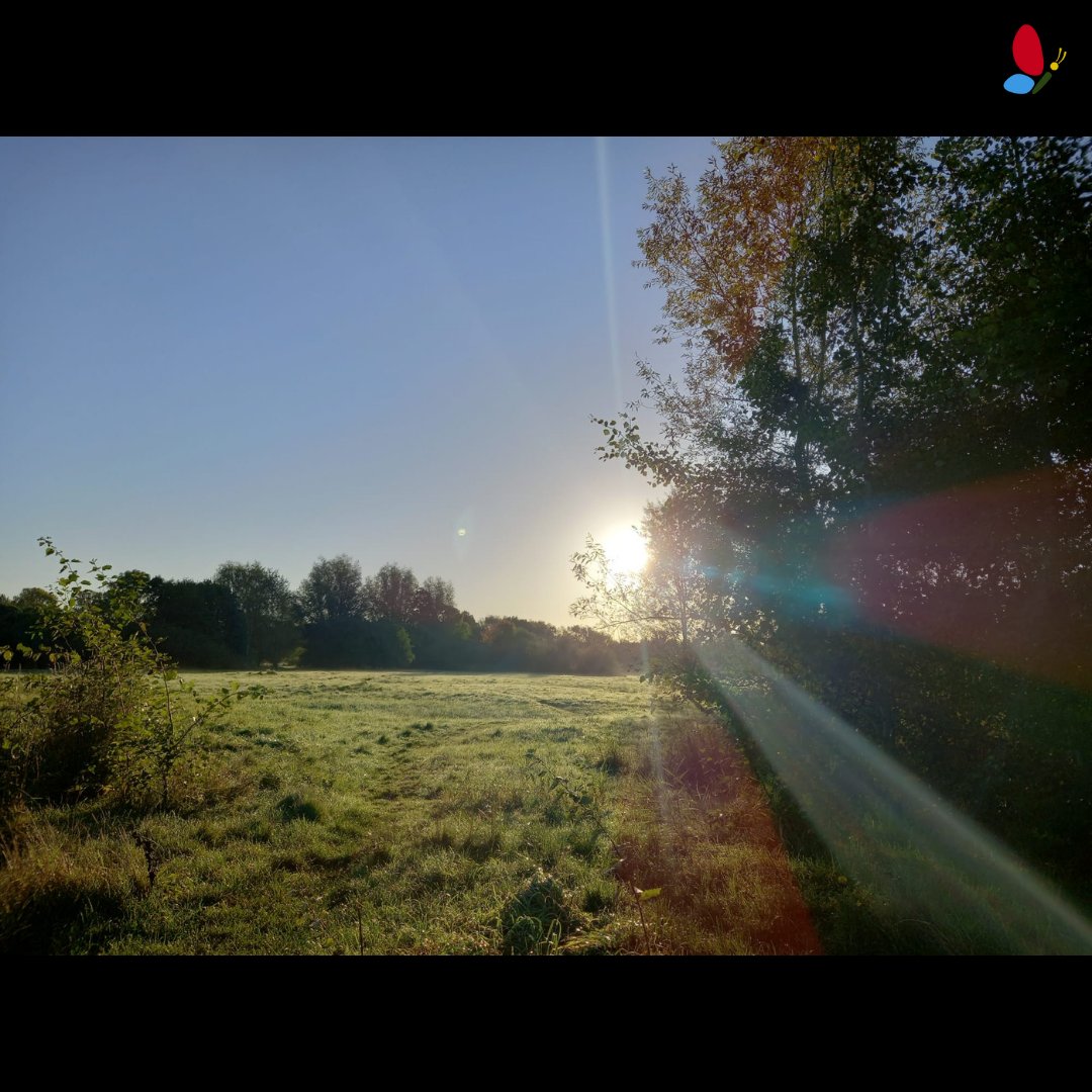 YPASLiverpool's tweet image. It's important to look after our mental health when seasons change. If you find yourself feeling the winter blues then staying active can be a big help. Try to get out for a walk in nature #wellbeing #nature #letsgetoutside #hereandnow #senses #autumn #seasonschanging #walking