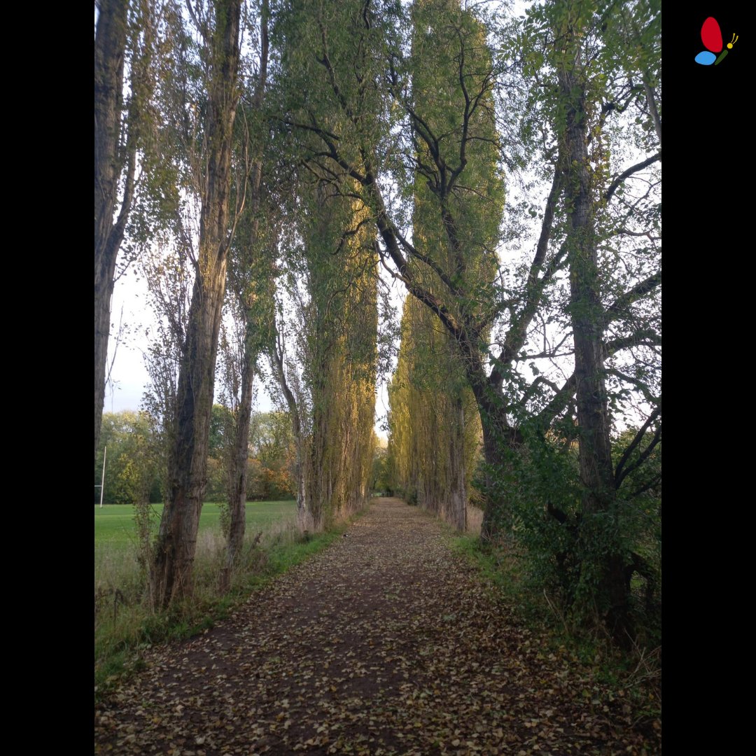 YPASLiverpool's tweet image. It's important to look after our mental health when seasons change. If you find yourself feeling the winter blues then staying active can be a big help. Try to get out for a walk in nature #wellbeing #nature #letsgetoutside #hereandnow #senses #autumn #seasonschanging #walking