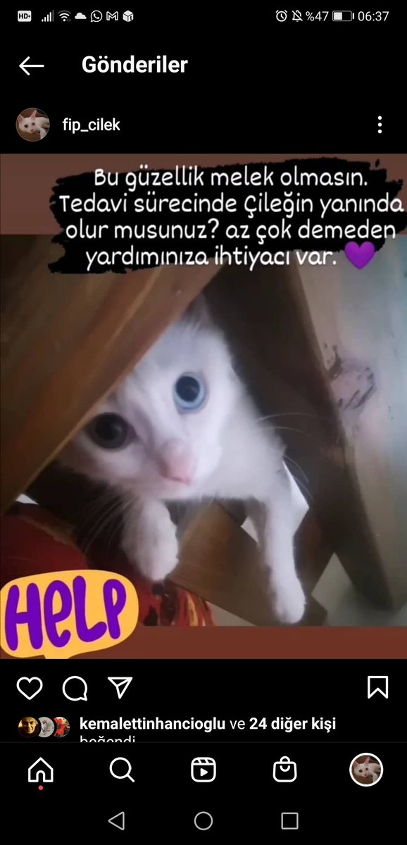 Gs 44 tedavisinin 43. Gunu.. Az kaldı. Ha gayret kuzum.