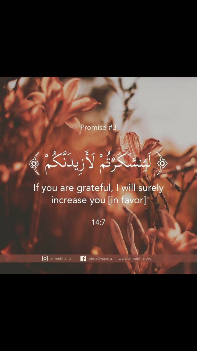 kamranGujar's tweet photo. The Four Promises of Allah to Humankind https://t.co/x4ub8pBNDW