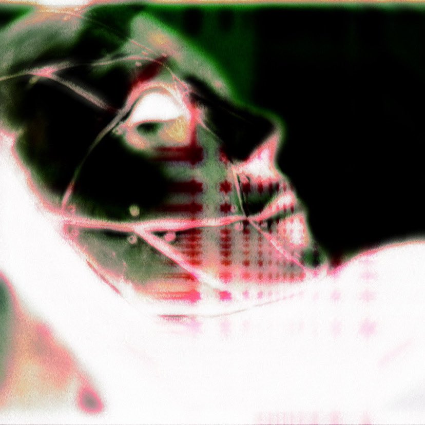 trialentity tweet picture