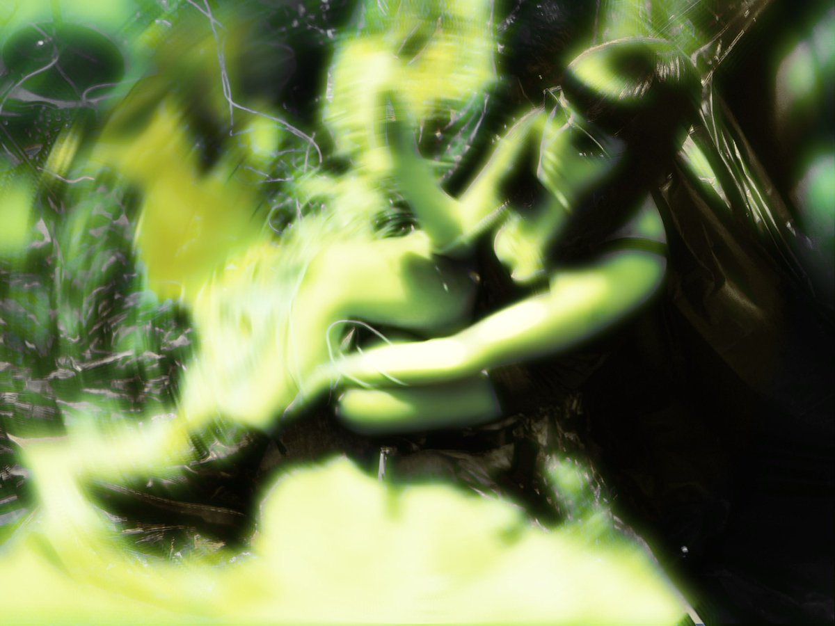 trialentity tweet picture