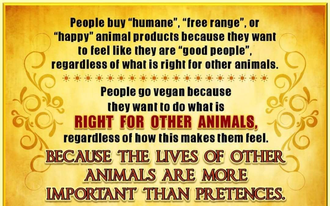 vvesog's tweet photo. Defending the rights of Animals ✊🏾
Go Vegan 💚
#vvesog
#veganism
#animalrights
#animalrightsactivist
#animalrightsmovement
#animalrightsawareness https://t.co/3gLEKgOXhi