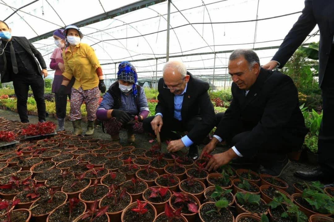 Osman Gürün