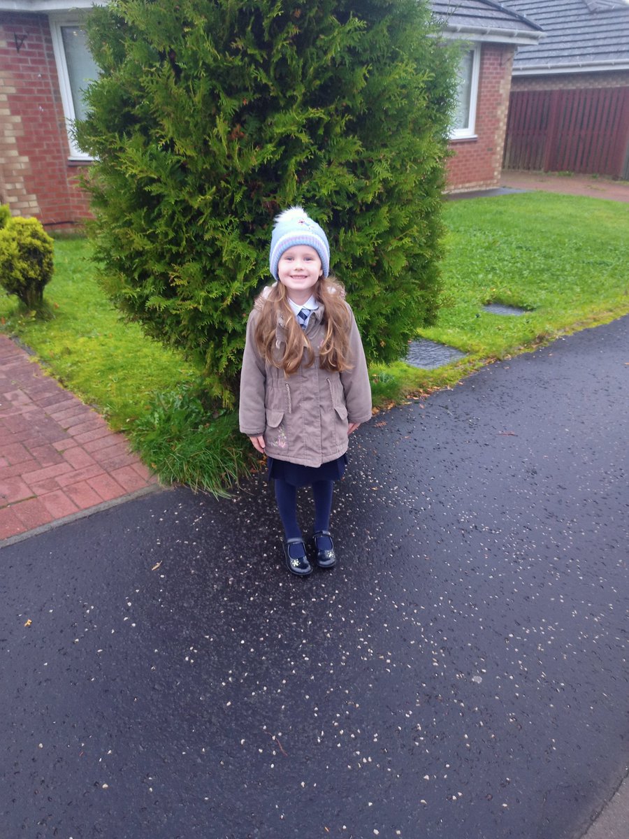 On her walk to school this morning Evie spotted a nice green tree. <a href="/NLActiveSchools/">NLActiveSchools</a>  #NLWALKTHERAINBOW