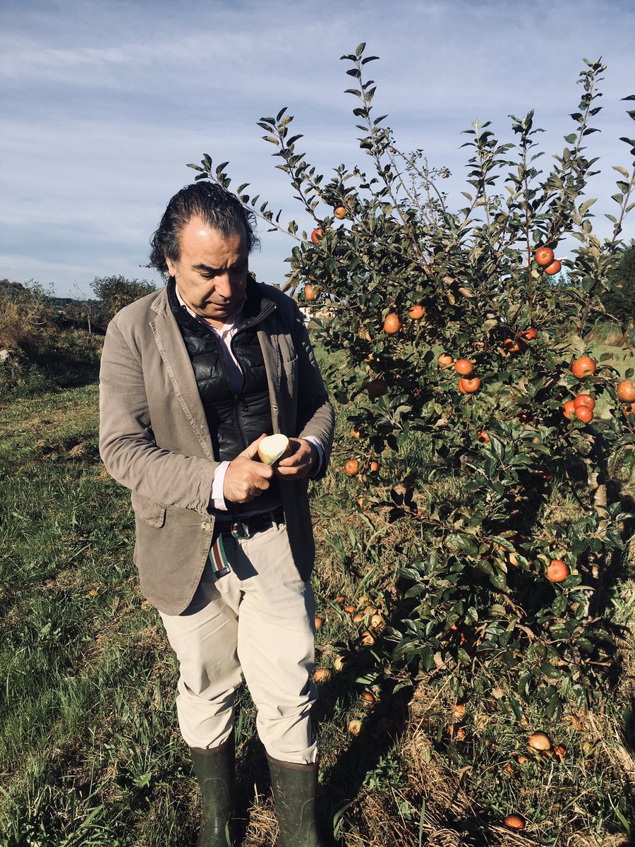 Campaña 2021 finalizamos con la variedad #Xuanina  comenzamos con #Raxao 🍏🍎 cosecha propia <a href="/sidradeasturias/">Sidra de Asturias</a> <a href="/copaeasturias/">COPAE Asturias</a> 🍏🍎#cider #Terroir #CosechaPropia 😍#Pomaradas #applecider #appelcider #homegrown #Asturias #villaciviosa