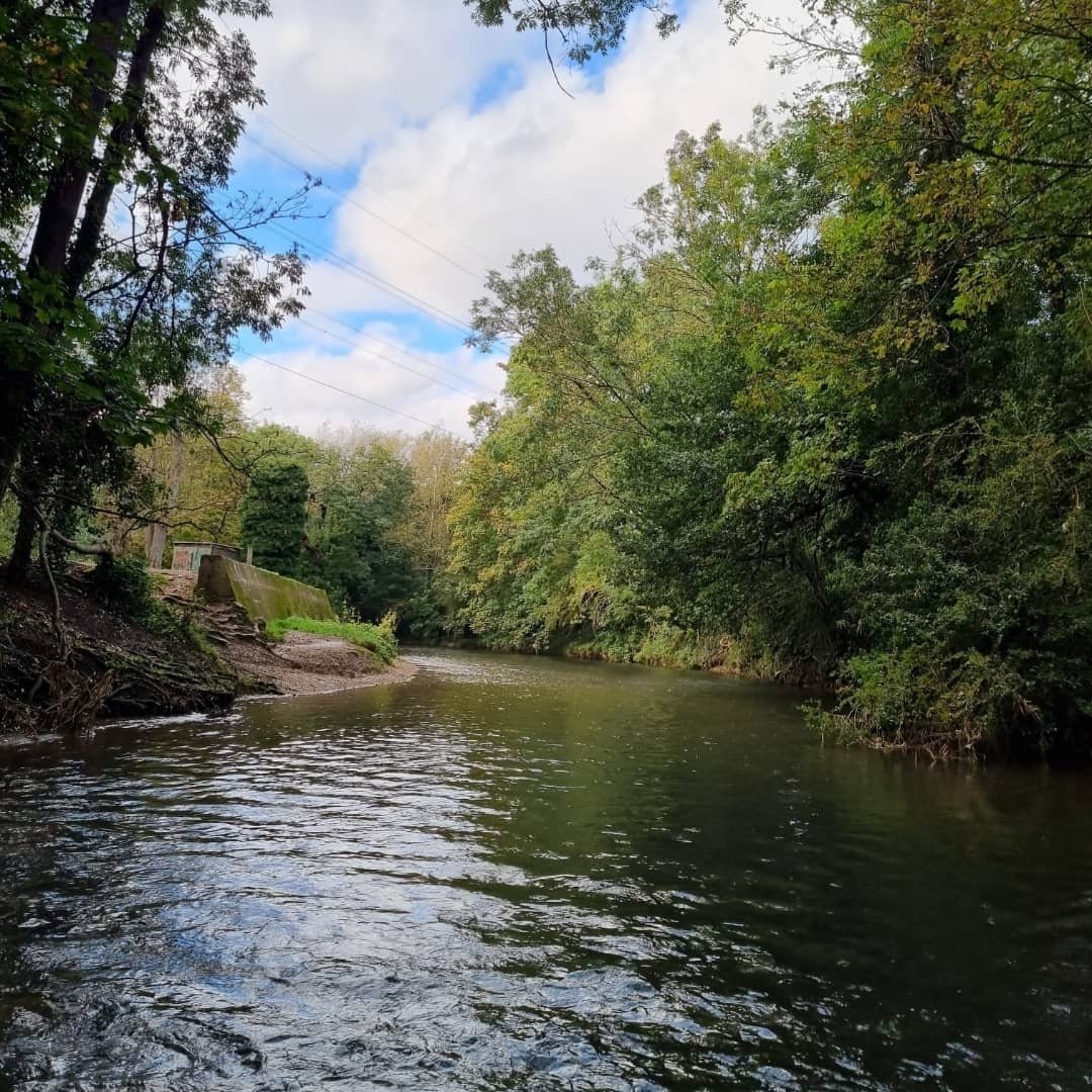 WaterEnvironLtd's tweet photo. Our team were very excited this week to spend the day with @Thames21 learning about their River Roding habitat improvement project 🏞️🐮 We look forward to coming back soon and seeing the benefits of this innovative scheme https://t.co/gIVQZXVxZo