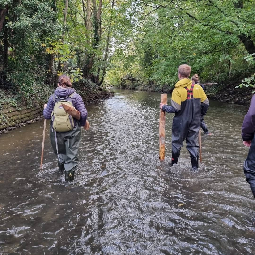 WaterEnvironLtd's tweet photo. Our team were very excited this week to spend the day with @Thames21 learning about their River Roding habitat improvement project 🏞️🐮 We look forward to coming back soon and seeing the benefits of this innovative scheme https://t.co/gIVQZXVxZo