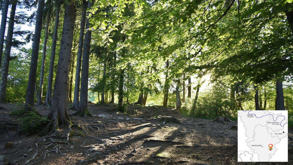 Accompagnées d'<a href="/Ecotree/">Sierra Jeon</a>, Natur'Elles Aventures et @MaTerreNElles, ont décidé de financer un projet de reboisement d'une forêt des Yvelines. L’écosystème a été détruit et un reboisement est nécessaire, 1667 essences vont être plantées.

Suivez ce projet 😉.
.
#NaturEllesAventure