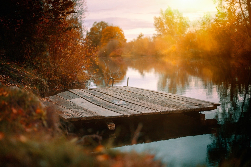 NebiaUk's tweet photo. Colder crisp mornings and Autumnal sun -  we LOVE all of the Autumn nature vibes in the U.K. 🍂🥰 https://t.co/u18hpQdLTy