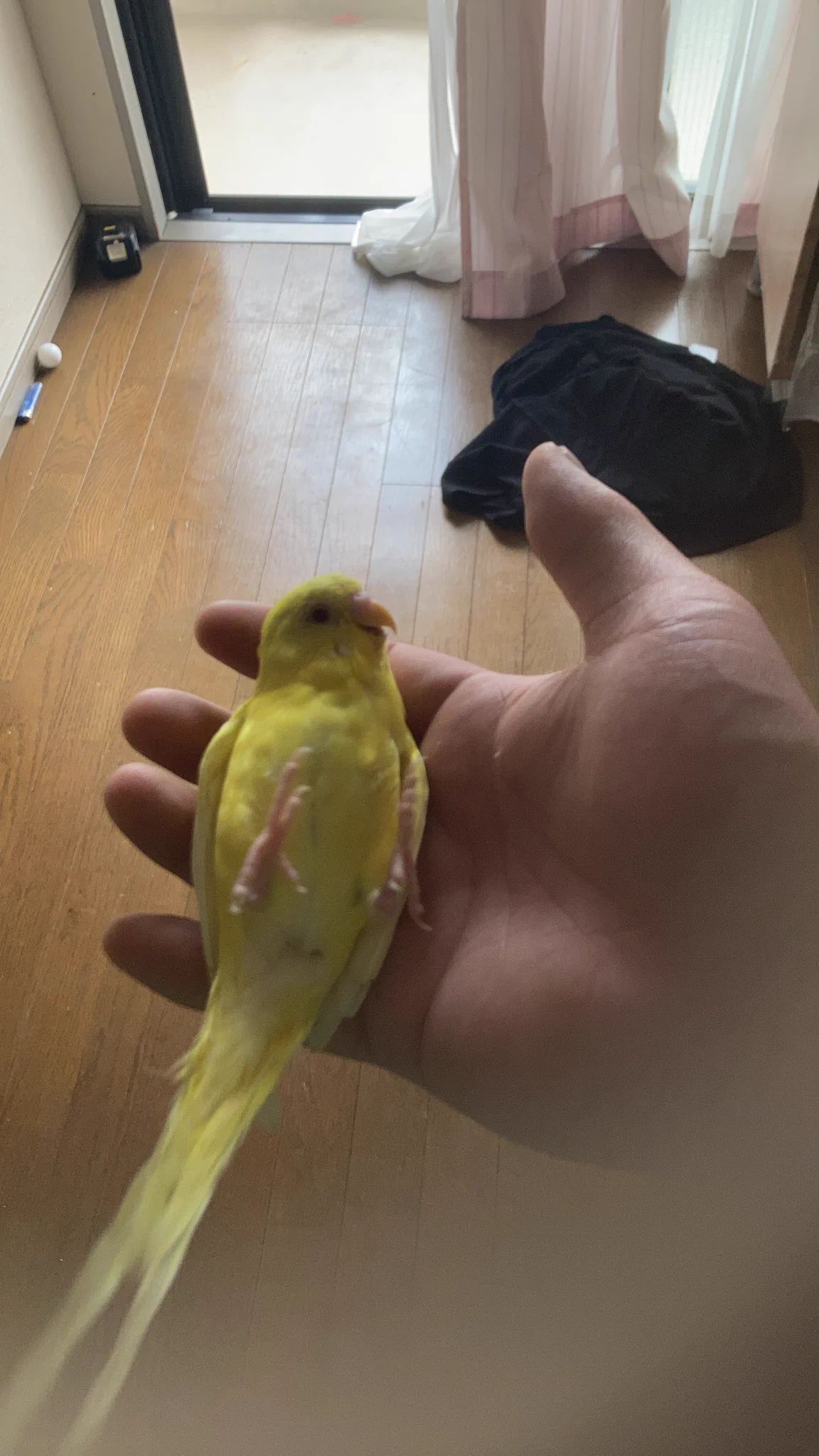 @healingbird1 @bigbody1990 たまにありますよね… 