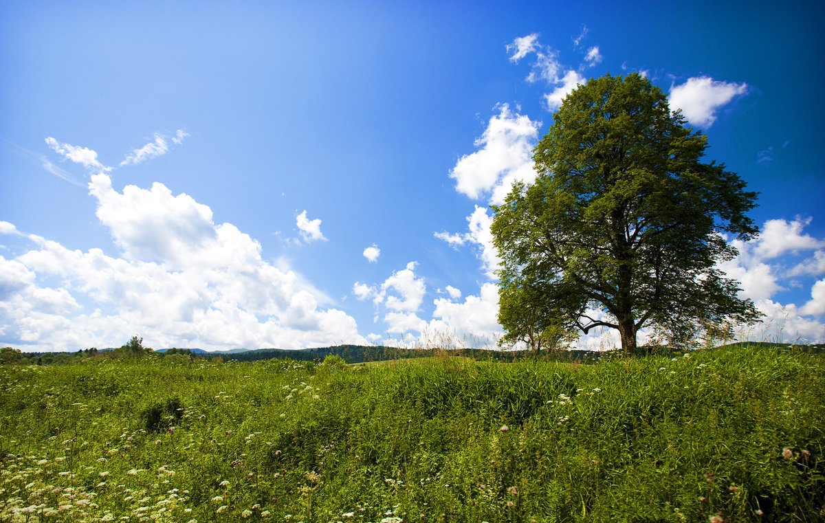 Our latest insight provides an overview of the recent Net Zero Strategy published by the Government. The strategy provides much needed clarity on how the Government intends to reduce #greenhouse gas emissions and achieve the target of #netzero by 2050. bit.ly/3bfVN6o