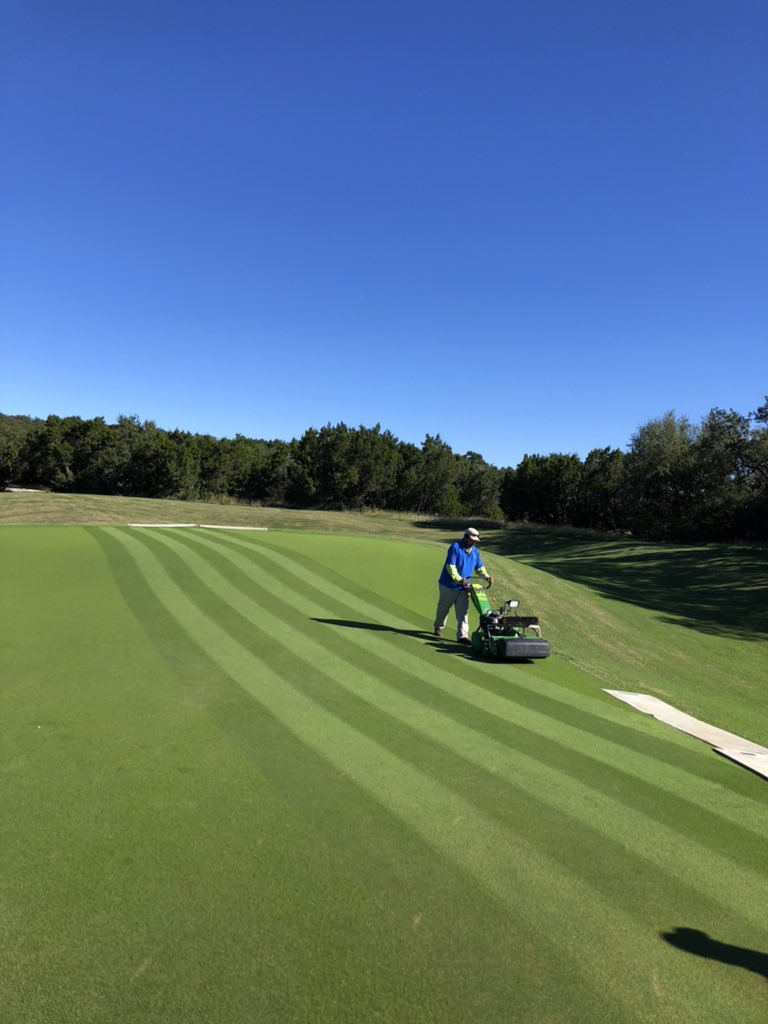 You have to love first cuts on overseed!!