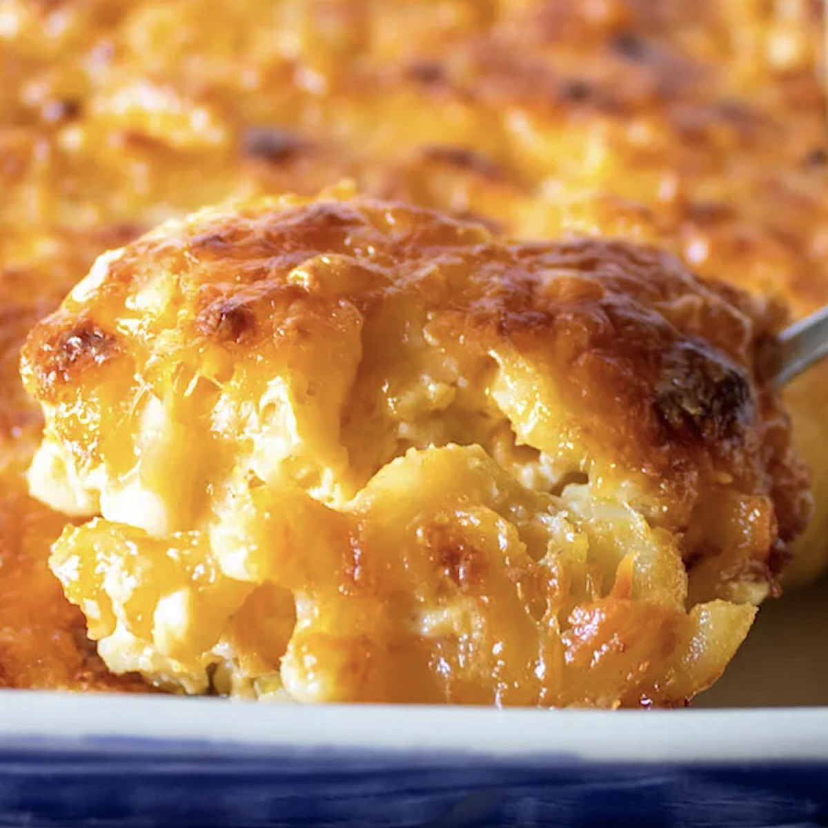 Valentino2hj's tweet image. #1 Southern Baked Mac and Cheese! A creamy, southern-style baked casserole, and soul food classic. It’s everyone's favorite Thanksgiving side dish! Get the #macandcheese recipe at thehungrybluebird.com/southern-baked… #HomemadeMacAndCheese #BakedMacAndCheese