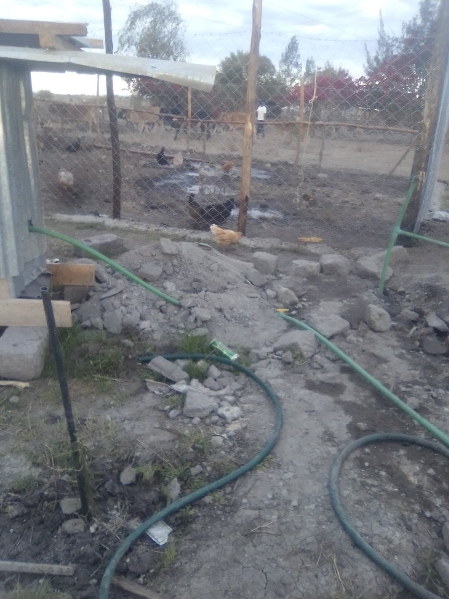 StarMathare's tweet image. 