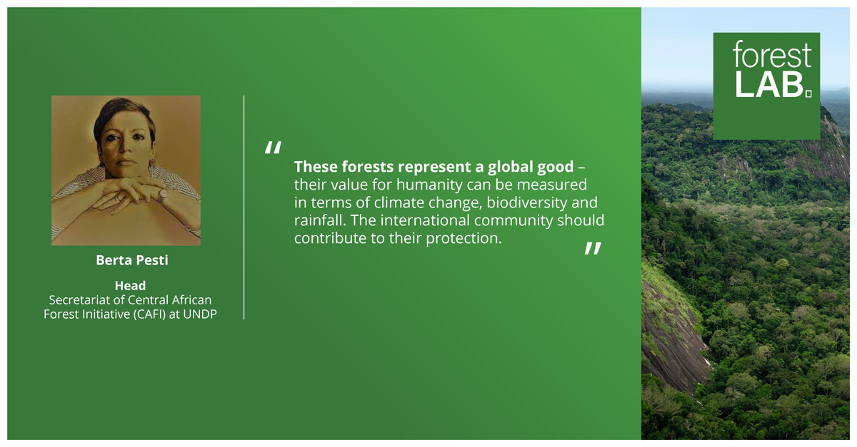 We were delighted to have <a href="/CAFISecretariat/">CAFI🌳</a> Head @berta_pesti attend our launch event as a panellist. The forests of Central Africa play a key role in mitigating against global climate change and their continued protection needs to be ensured.