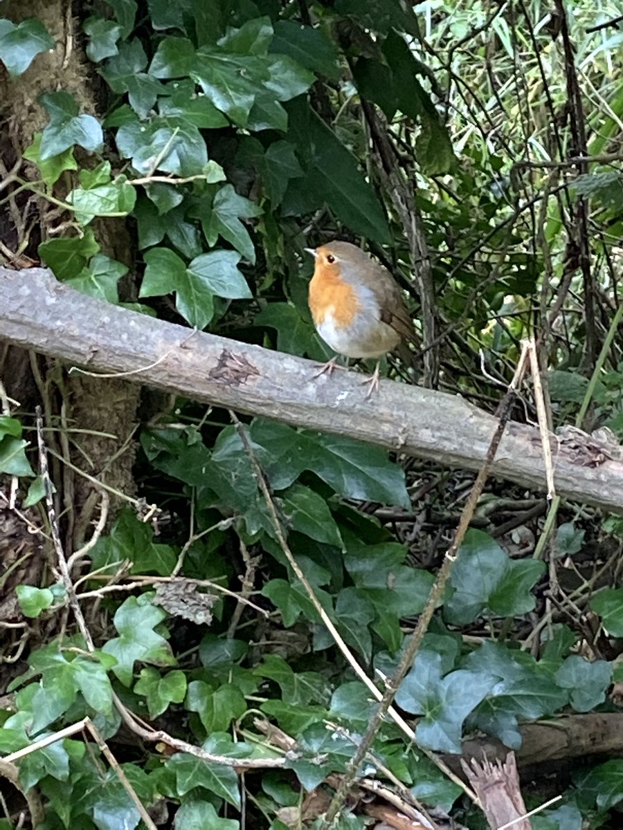 gayna hoggett tweet media