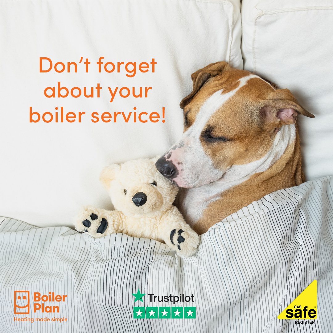 Boiler Plan tweet media