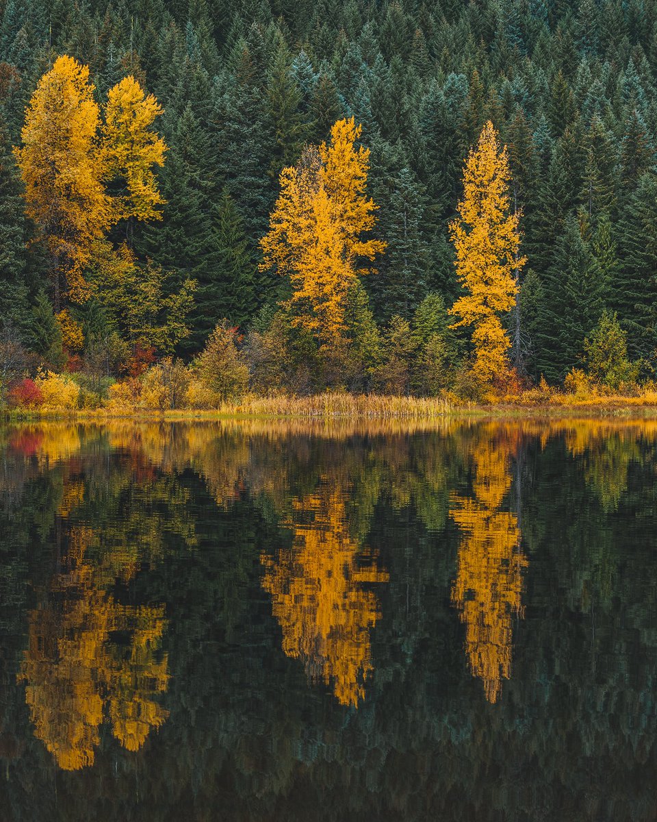 Spring🍃                vs.                  Fall🍂