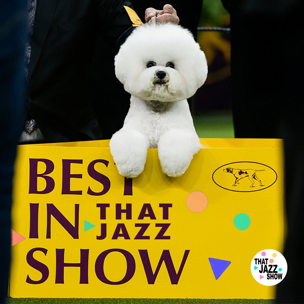 ThatJazzShow (@thatjazzshow) on Twitter photo There’s still time to send us your favorite pet photos! Email us at thatjazzshow@gmail.com. Winners will be announced on next Wednesday’s show! #sharesomethingnice #bestinshow #dogshow #cutepets There’s still time to send us your favorite pet photos! Email us at thatjazzshow@gmail.com. Winners will be announced on next Wednesday’s show! #sharesomethingnice #bestinshow #dogshow #cutepets