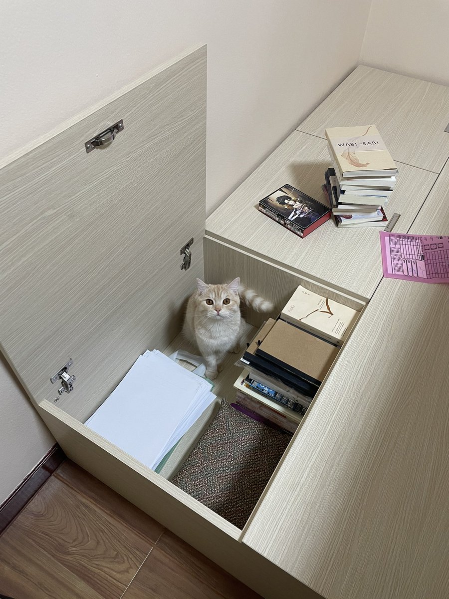 ฐานเตียงดีมาก ไว้เก็บของเก่าๆที่ไม่ค่อยได้ใช้