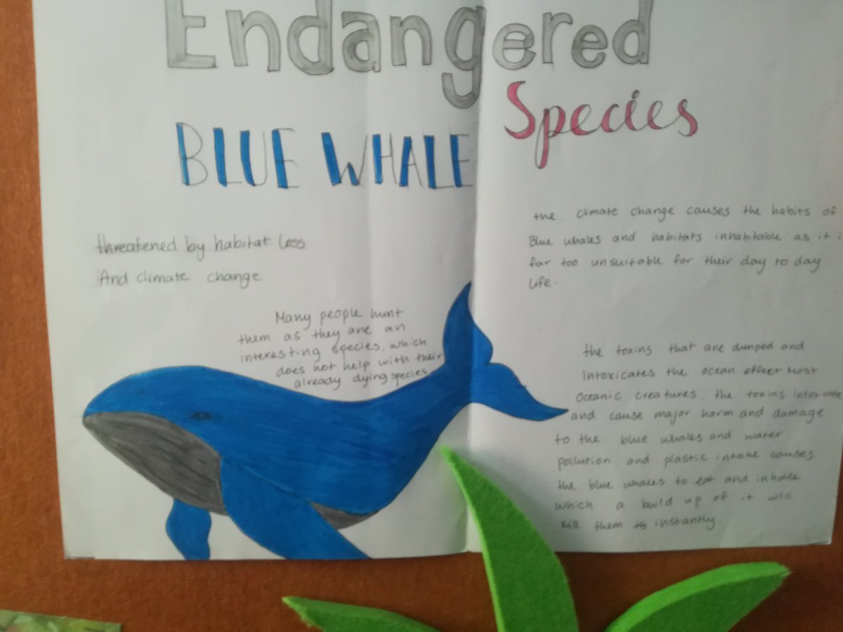 _bsuofficial's tweet photo. Some amazing work from across @_bsuofficial on endangered animals.
#BSau #Mongolia #EndangeredSpecies https://t.co/EJLwZlGW8W