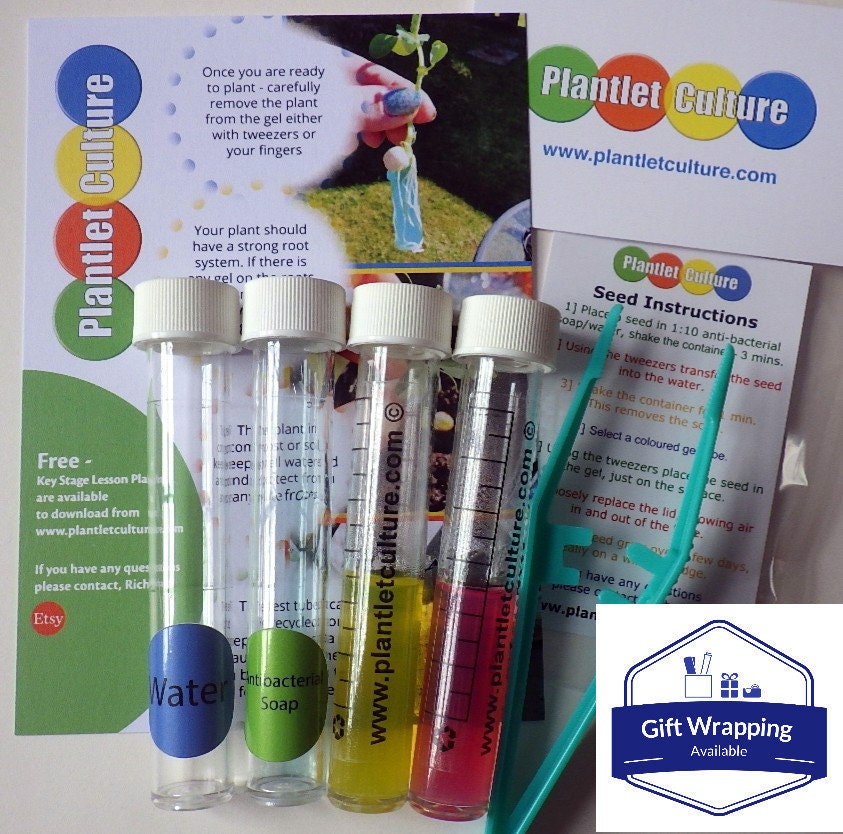 plantletculture's tweet photo. Excited to share the latest addition to my #etsy shop: Sweet Pea - Grow A Plant In A 'Mini' Test Tube - Plantlet Culture - Seed kits for kids, Gift Wrapping Available, Grow Your Own, Gift Packs https://t.co/iRNLyvFvq5 #gardening #plantsfromseed #seedkit #STEM #MHHSBD https://t.co/gSIXAMLfta
