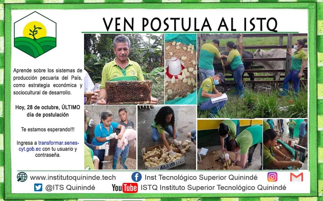 ITSQuininde's tweet photo. ✅VEN Y POSTULA AL ISTQ✅

Aprende sobre los sistemas de producción pecuaria del País, como estrategia económica y sociocultural de desarrollo.

Hoy, 28 de octubre🗓️ ÚLTIMO DÍA DE POSTULACIÓN

Te estamos esperando🤗 para que formes parte de esta gran Familia✅

#somosISTQ https://t.co/2I1OZmpuQM