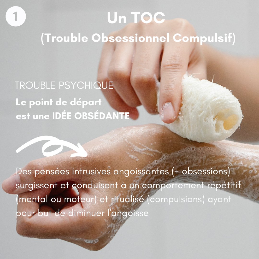 AnimalUniv's tweet photo. TOC(s), TIC(s) et stéréotypie(s) au programme de ce café-psycho du jeudi ! 

#animaluniversity #formations #centredeformation
#tics #tocs #stereotypies #ethologie #comportementanimal #comportementaliste #chienschats https://t.co/E7aMOO5fLB