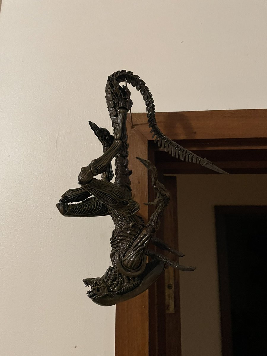 MarcusPlato's tweet image. Kitchen skewer, meet door jamb…
#ActionFigures
#ToyHack