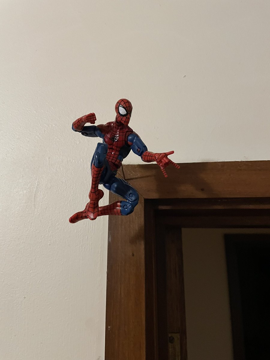 MarcusPlato's tweet image. Kitchen skewer, meet door jamb…
#ActionFigures
#ToyHack