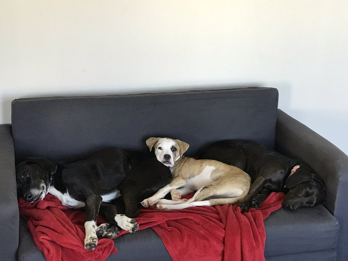 richards_jc's tweet image. 