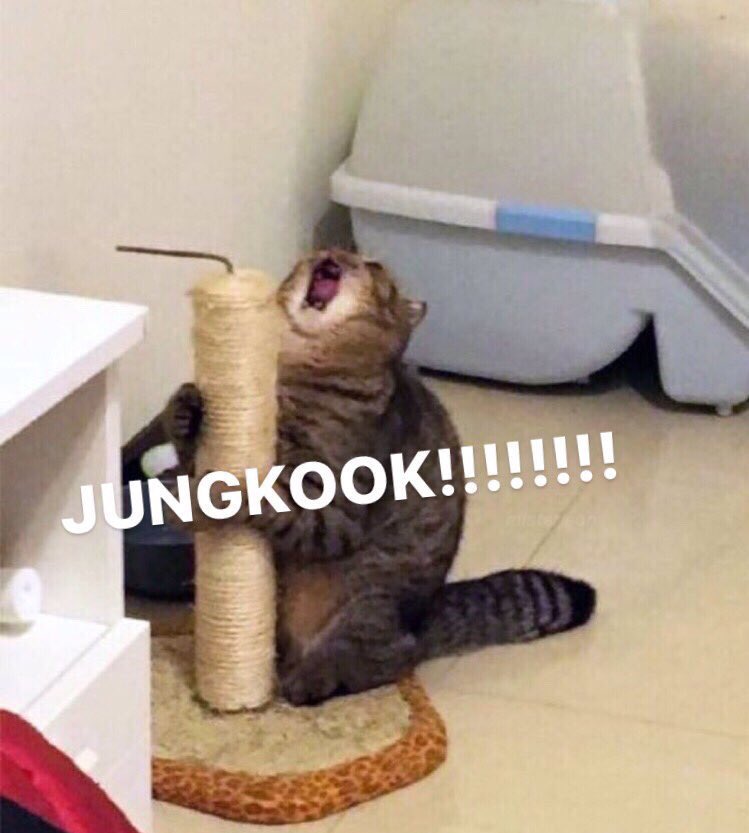 jungkook is one of the best vocalists of our generation.  it's so easy to fall in love with his voice 😭💜